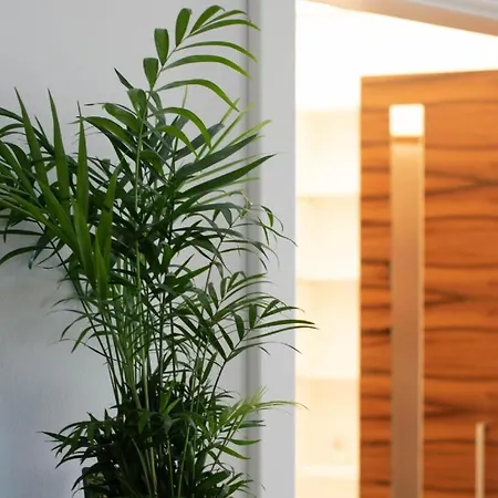 Apartment Closeferienwohnung Schmuckkaestchen Calw