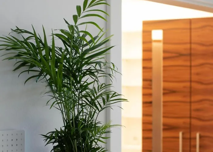 Appartement Schmuckkaestchen Calw